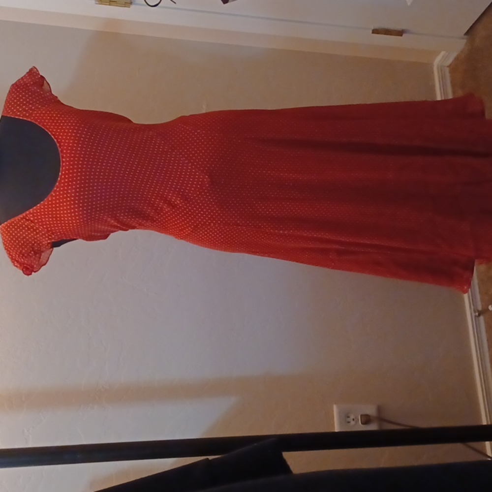 NWOT Jones New York Collection